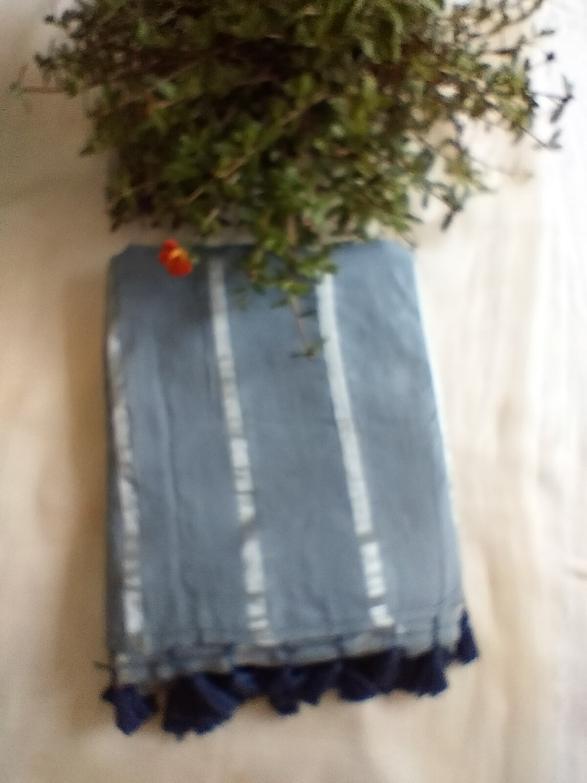 Grey mul cotton saree 🩶